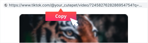 Step 1: Copy TikTok Video URL