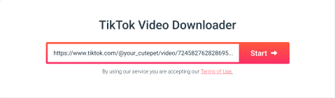 Шаг 2: Вставить URL видео TikTok